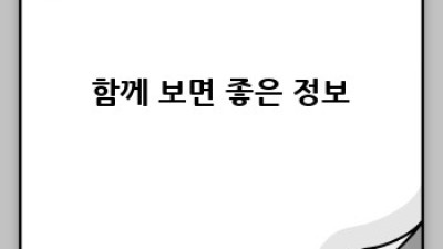 우리 강아지, 행복하게 해주는 스트레스 관리법🐶