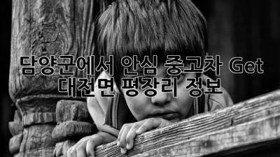 담양군에서 안심 중고차 Get! 🚗 대전면 평장리 정보